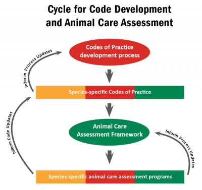 Animal Care Assessment Model (ACAM) diagram